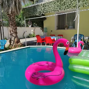 https://swimming-pool-and-garden-view-rooms-for-rent.albaniahotels.org